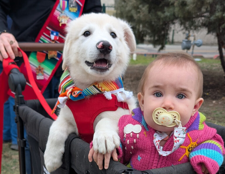 A baby and puppy in a wagon.